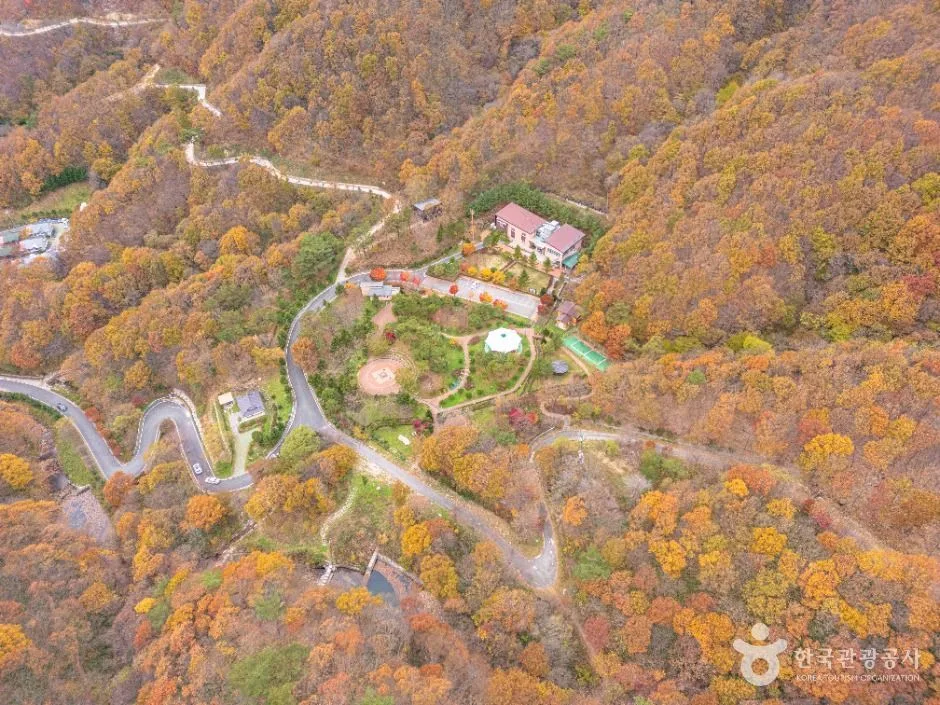데미샘자연휴양림