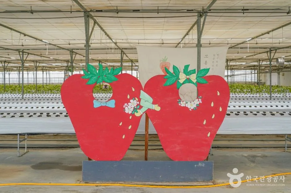 보성_보성싱싱농원 (4)
