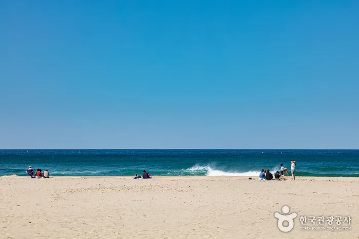 하조대해수욕장 7