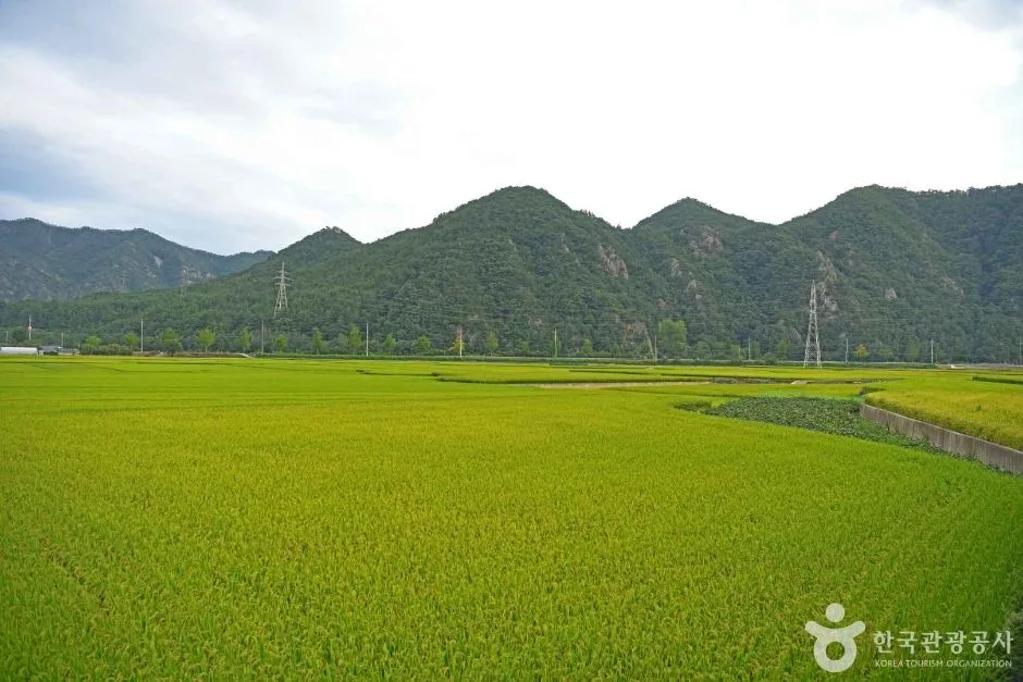 삼척_산양마을 (5)