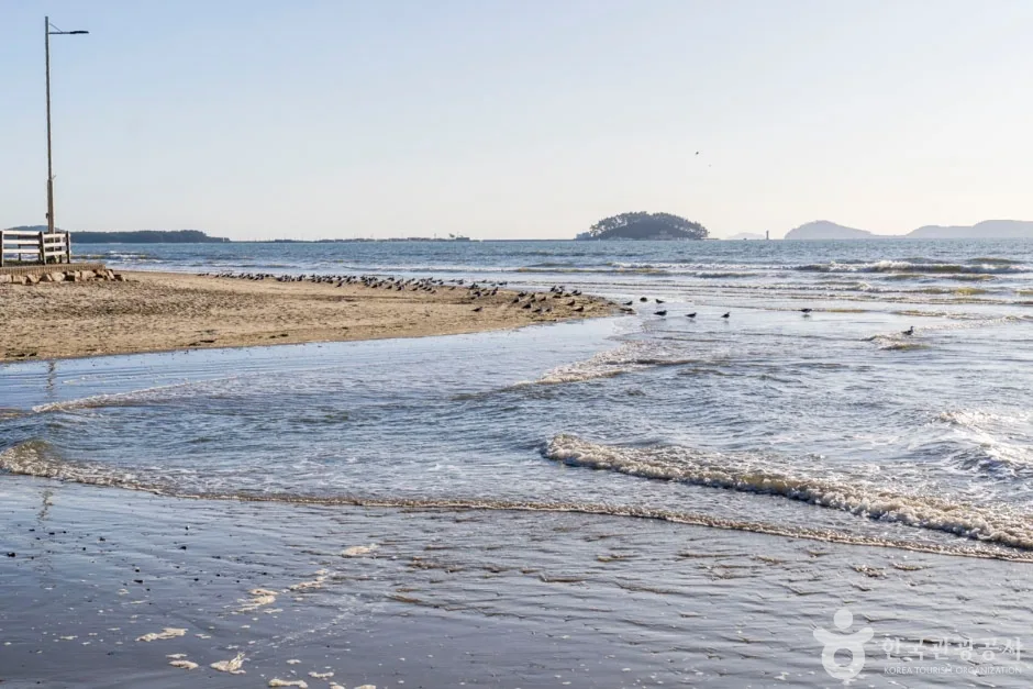 청포대해수욕장 (6)