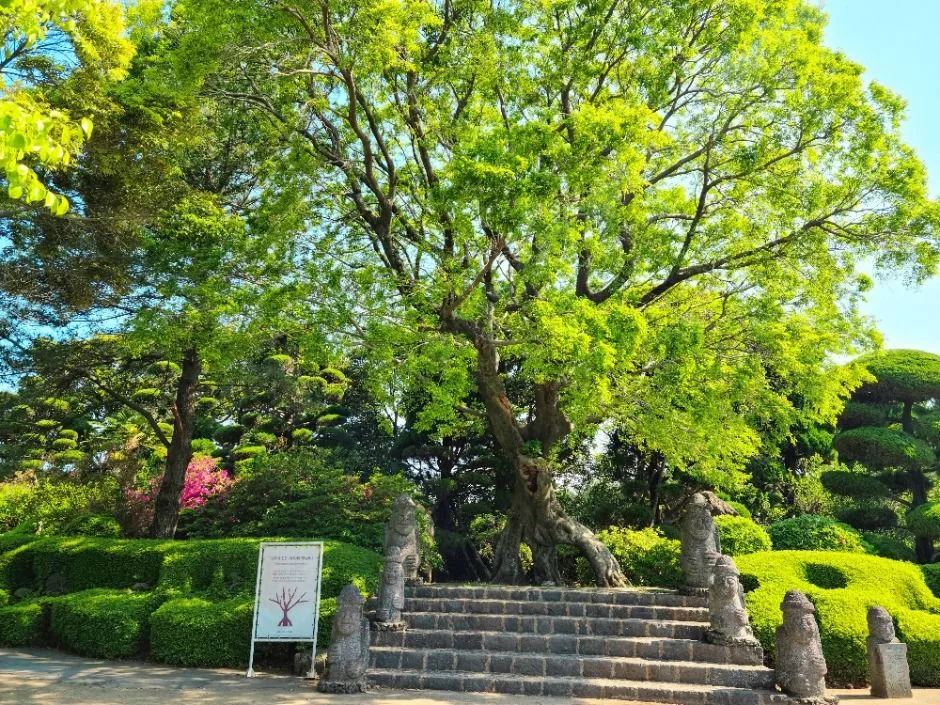서귀포_일출랜드 (1)