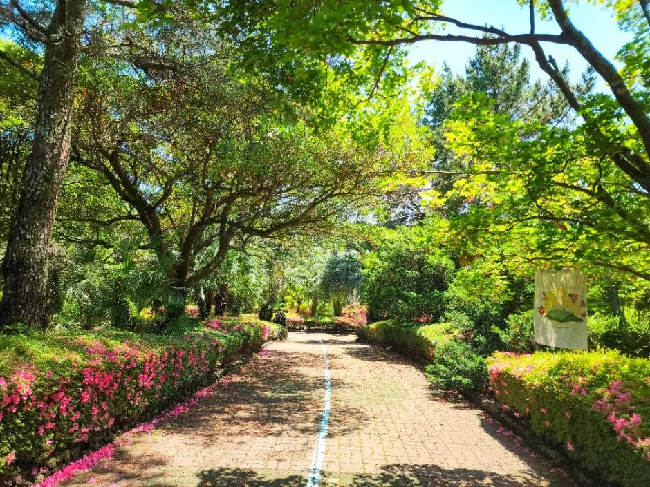서귀포_일출랜드 (15)