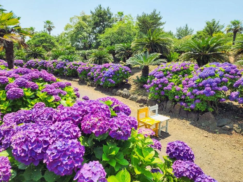 서귀포_일출랜드 (7)