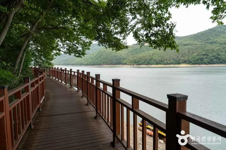 전남_장성_옐로우 출렁다리_외부_4.jpg