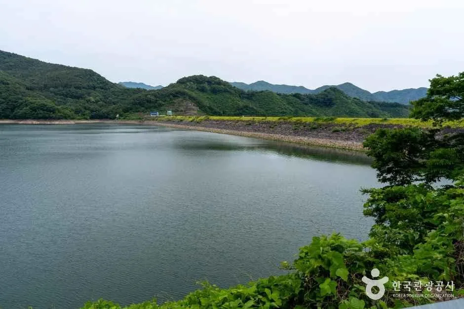 전남_장성_옐로우 출렁다리_외부_3.jpg