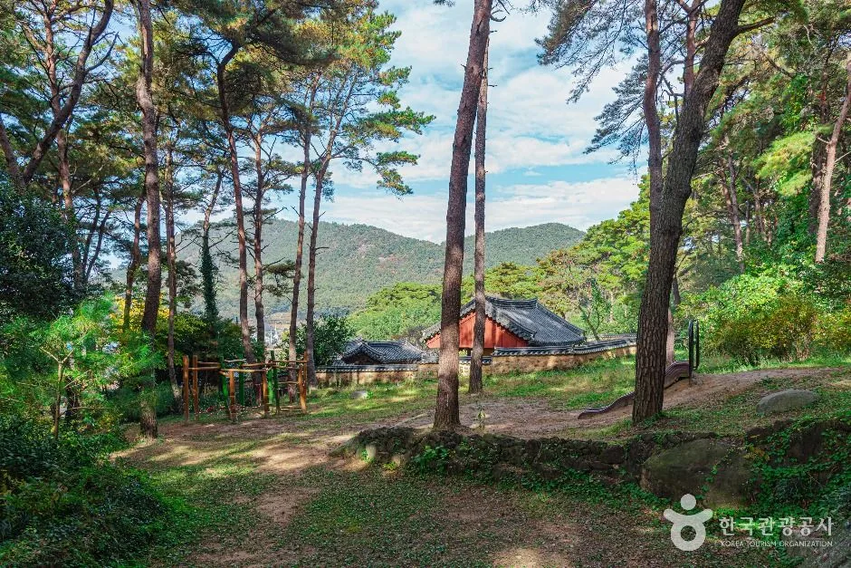 광주_제봉산 마법의 숲 체험원 (4)