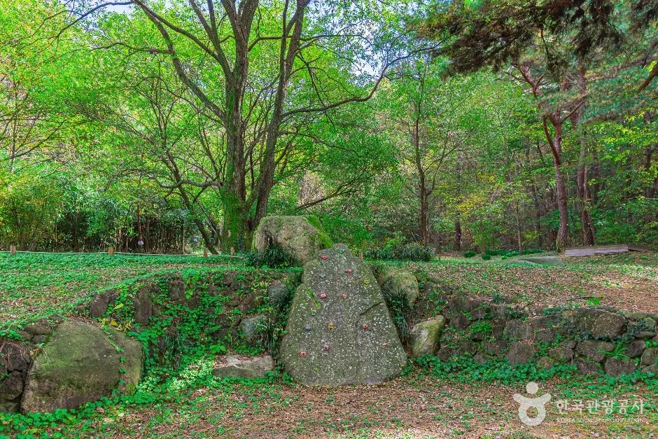 광주_제봉산 마법의 숲 체험원 (6)