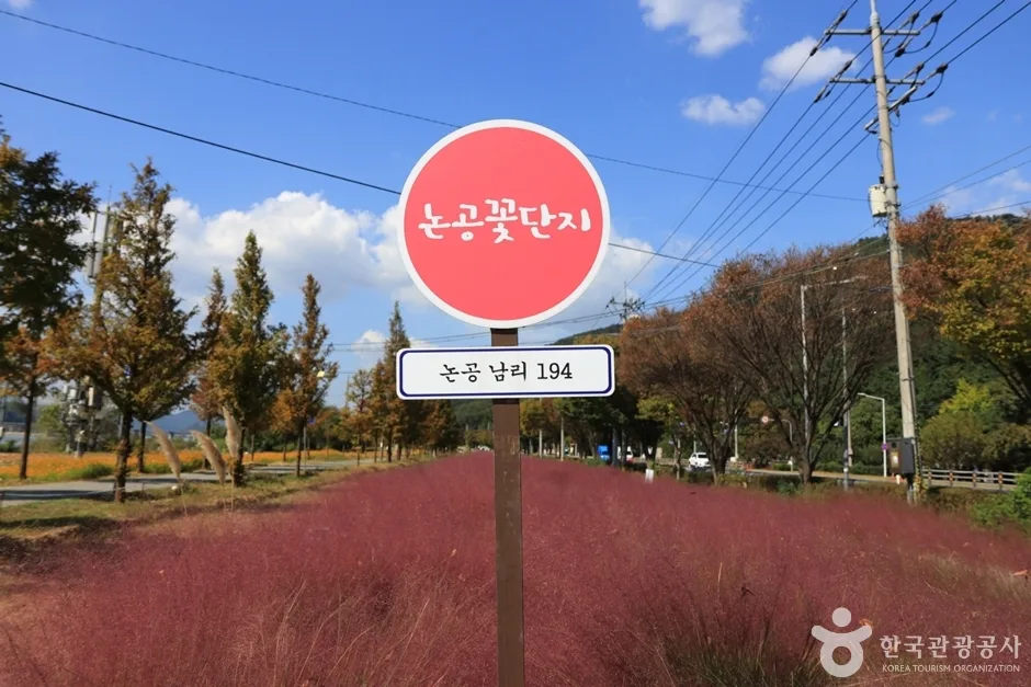 논공꽃단지 (14)