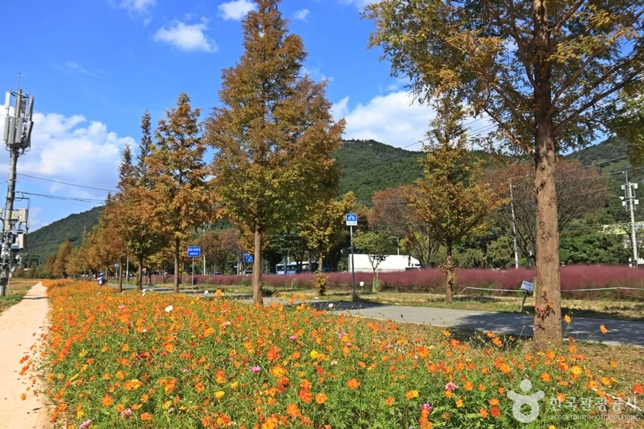 논공꽃단지 (10)