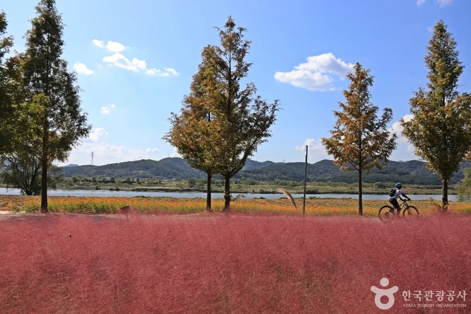 논공꽃단지 (13)