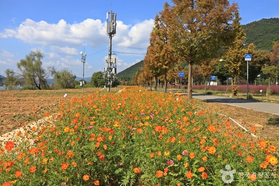 논공꽃단지