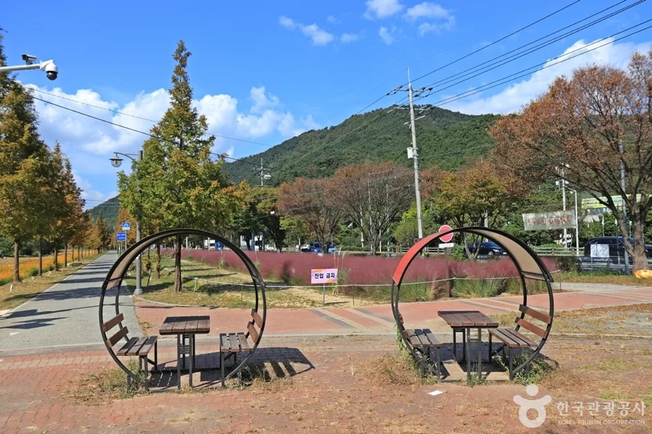 논공꽃단지 (7)