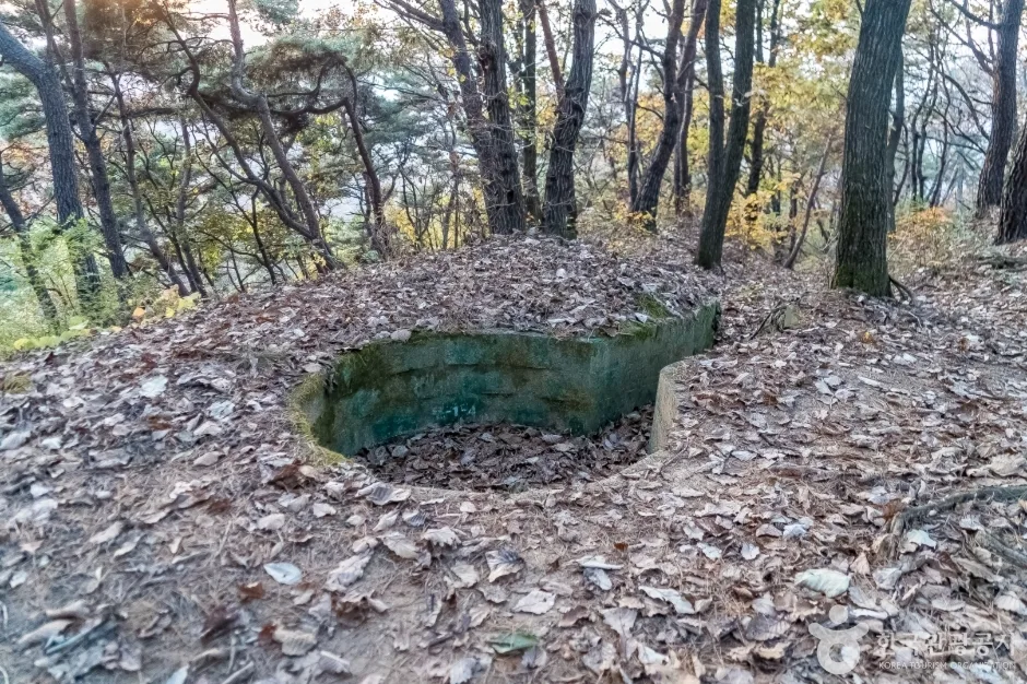 배부른산 (12)