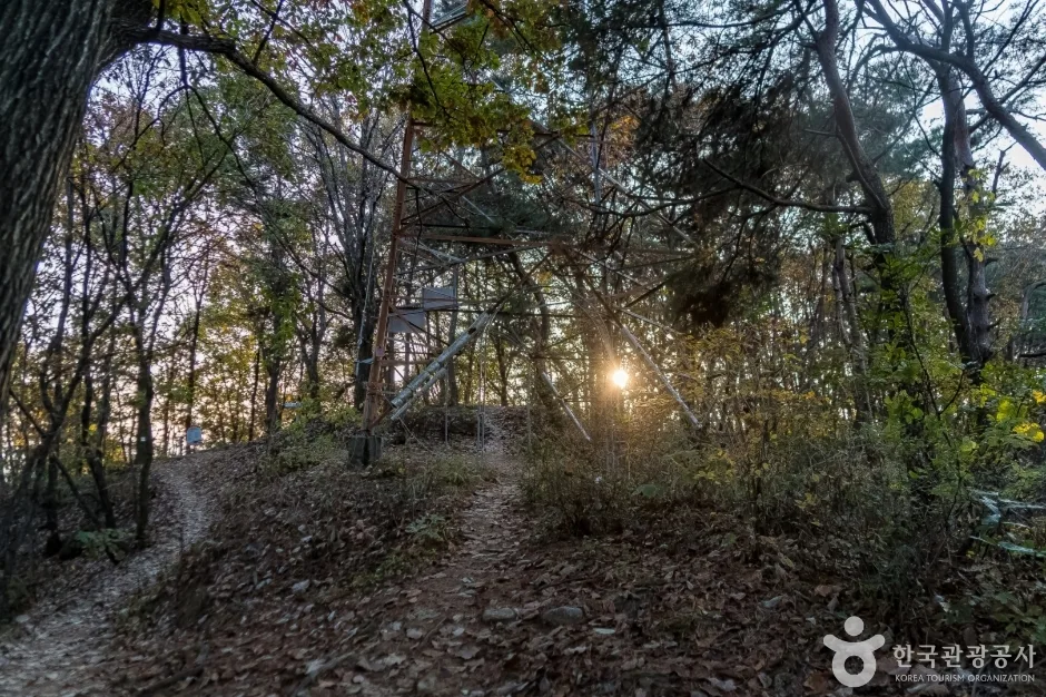 배부른산 (9)