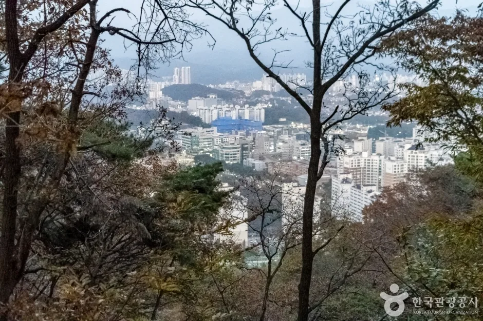 배부른산 (16)