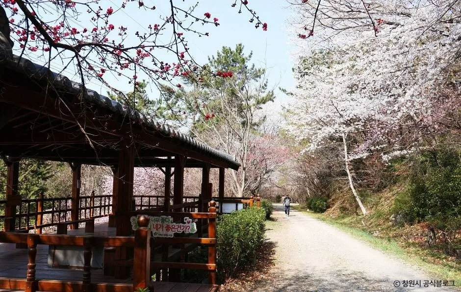창원_진해드림로드 (2)