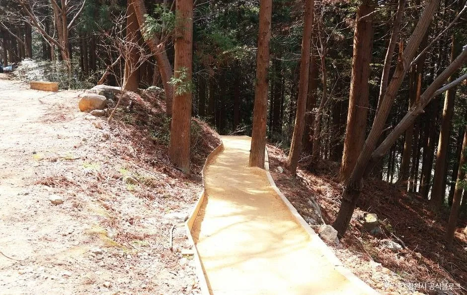 창원_진해드림로드 (1)
