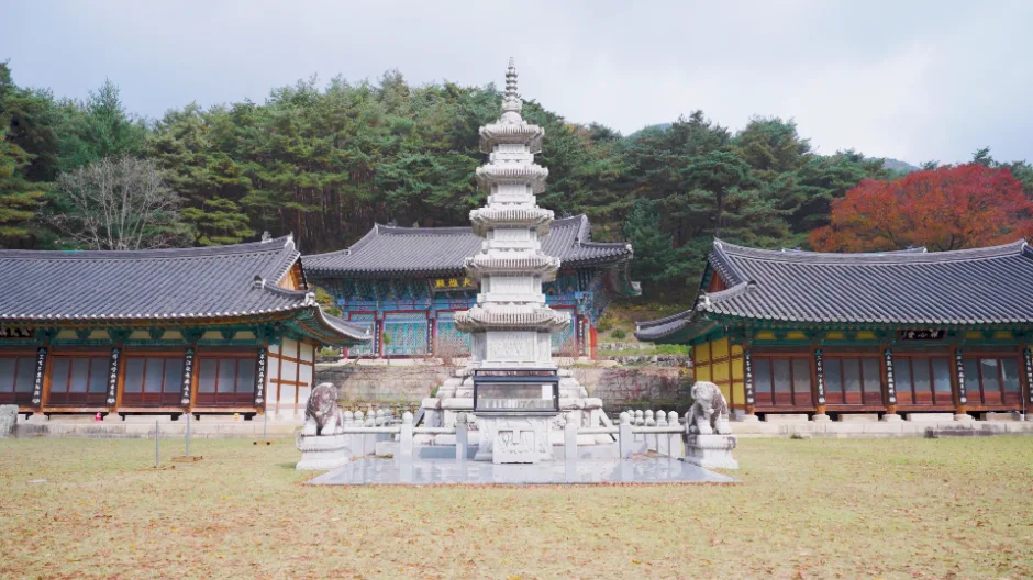 괴산_공림사 (4)
