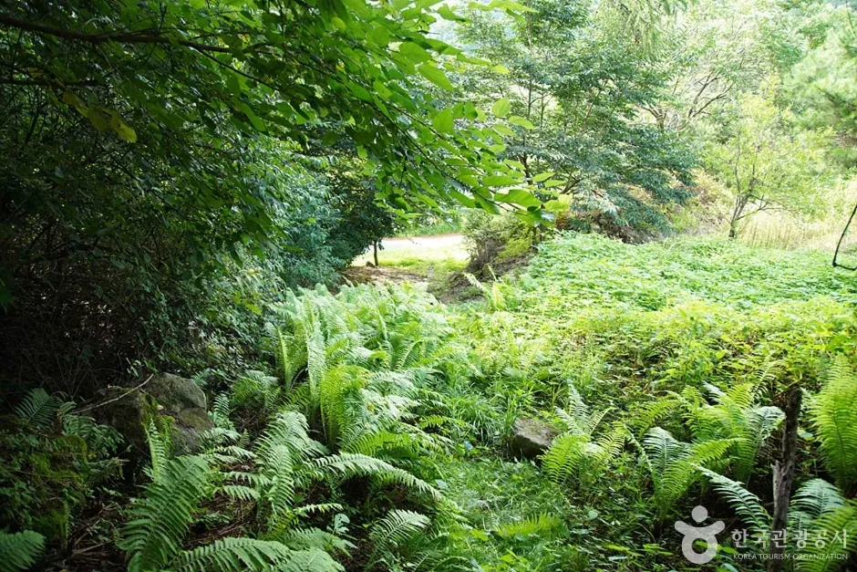 목우산 (05)