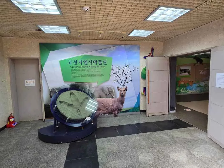 고성_고성자연사박물관 (4).jpg