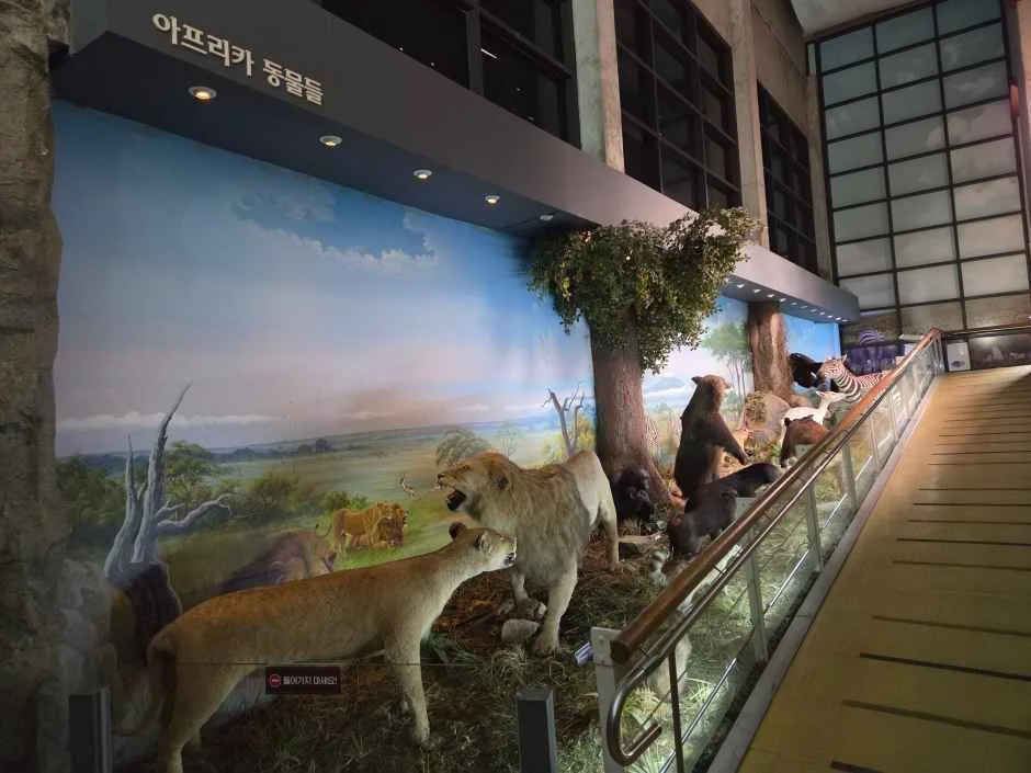 고성_고성자연사박물관 (7).jpg
