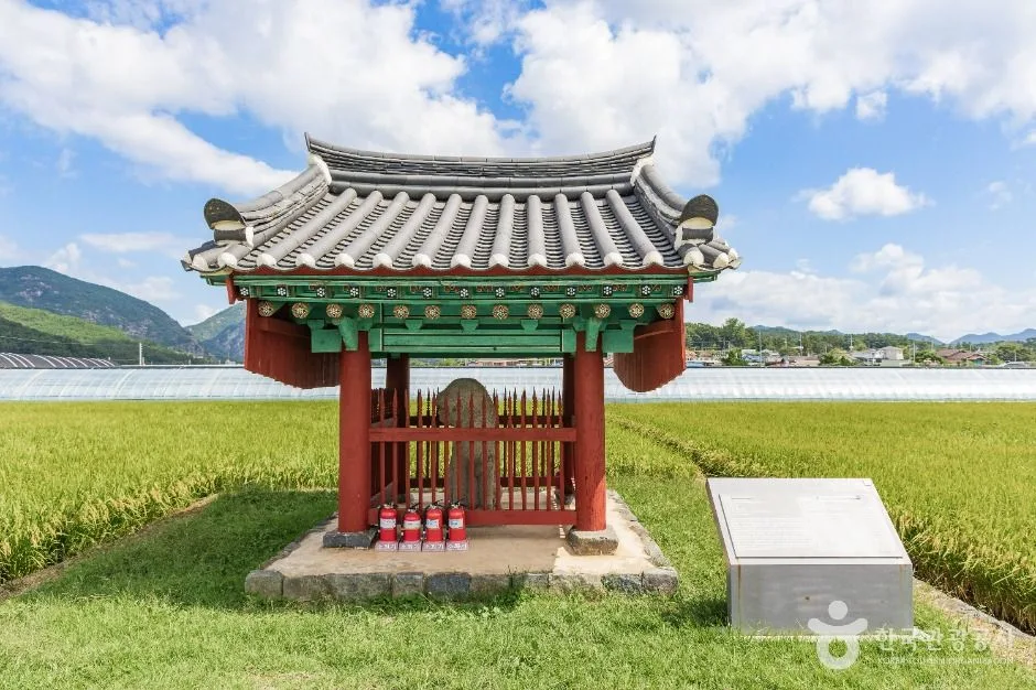 금산_금산 천내리 용호석 (2)