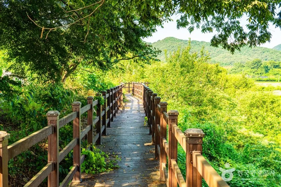 공주_양화저수지 (1)