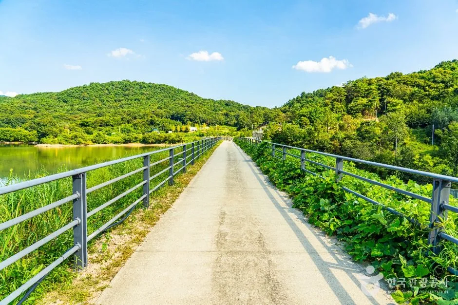 공주_양화저수지 (5)