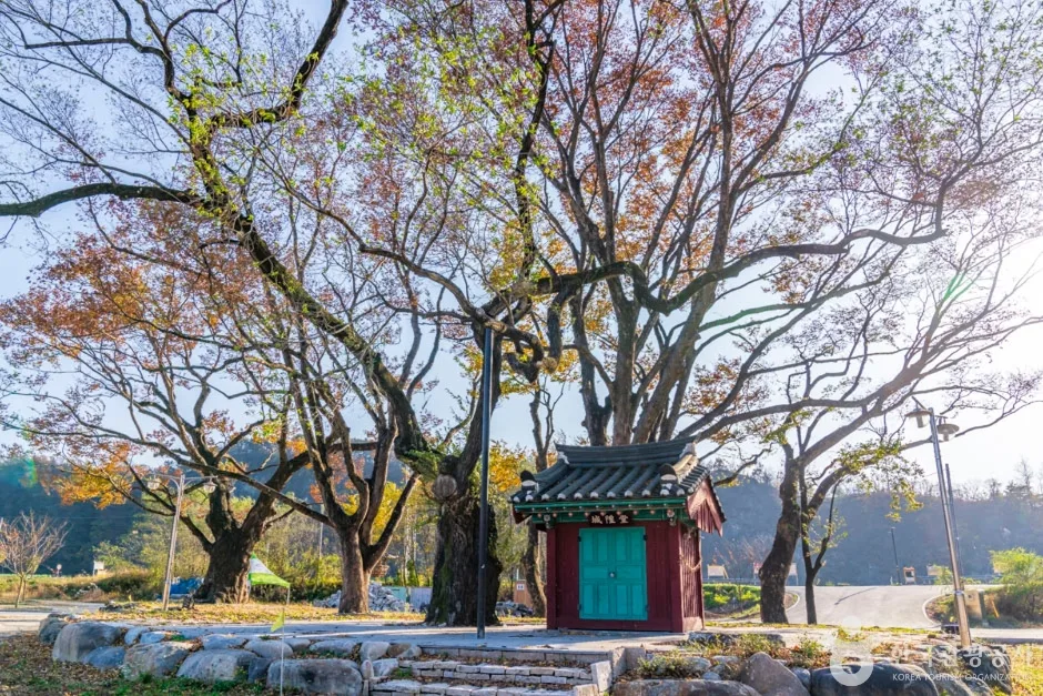 북벽 (8)