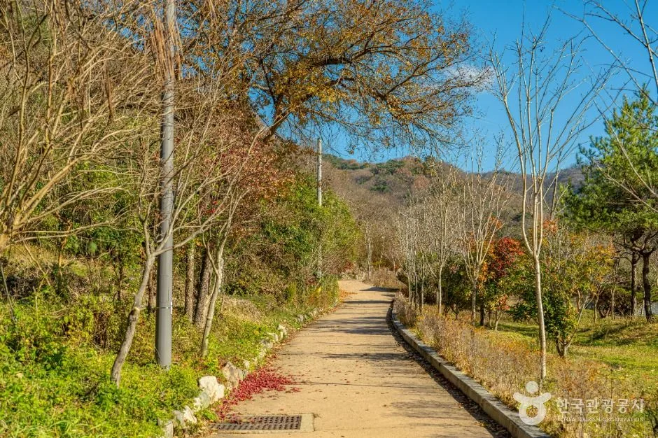 화순_세량지 (9)