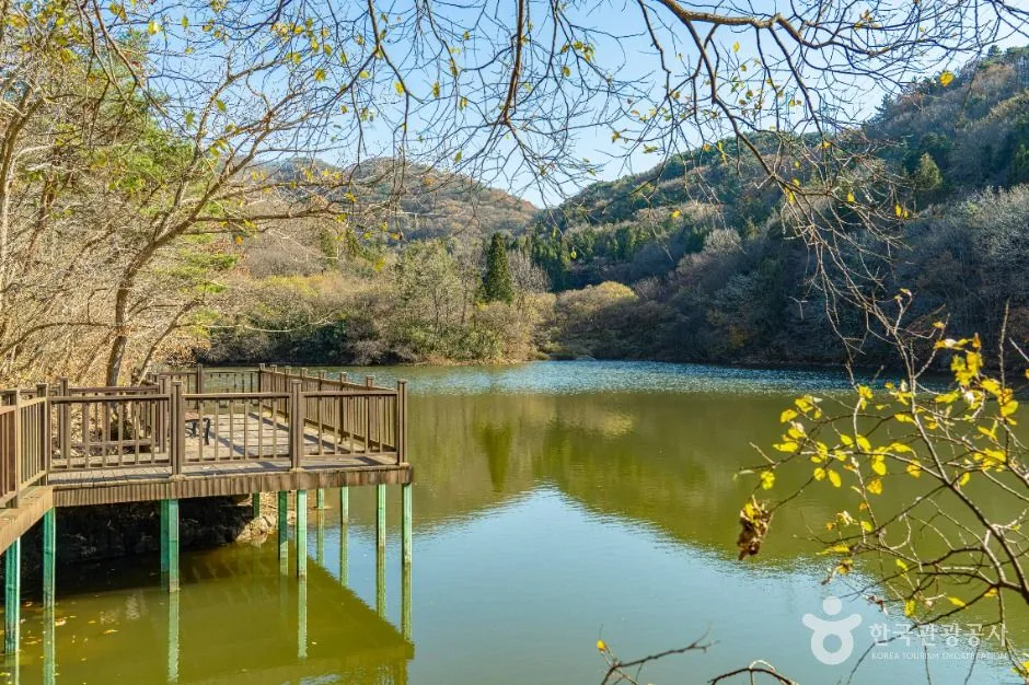 화순_세량지 (4)