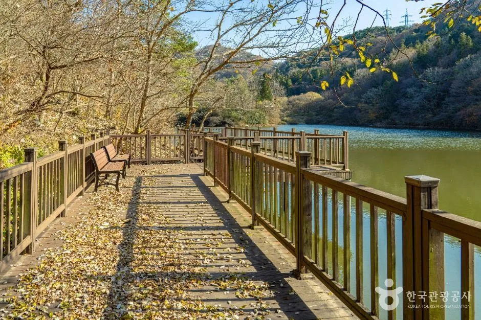 화순_세량지 (2)