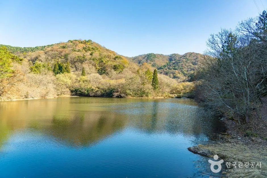 화순_세량지 (6)