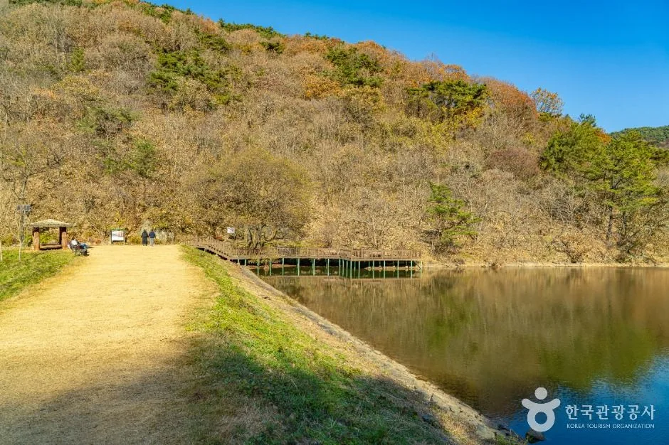 화순_세량지 (7)