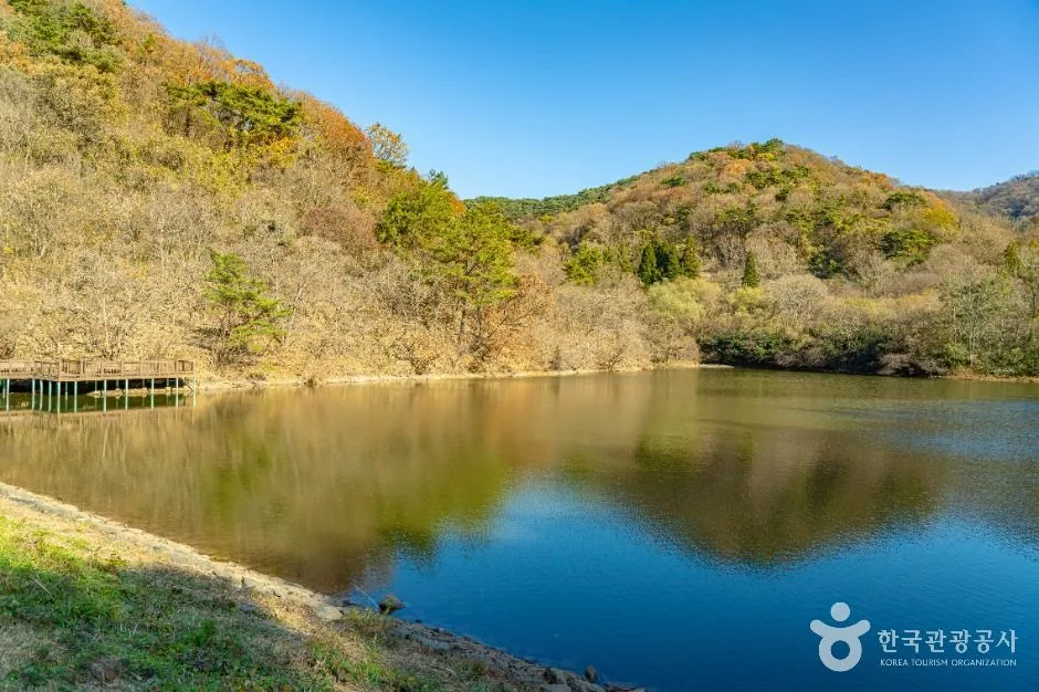 화순_세량지 (5)