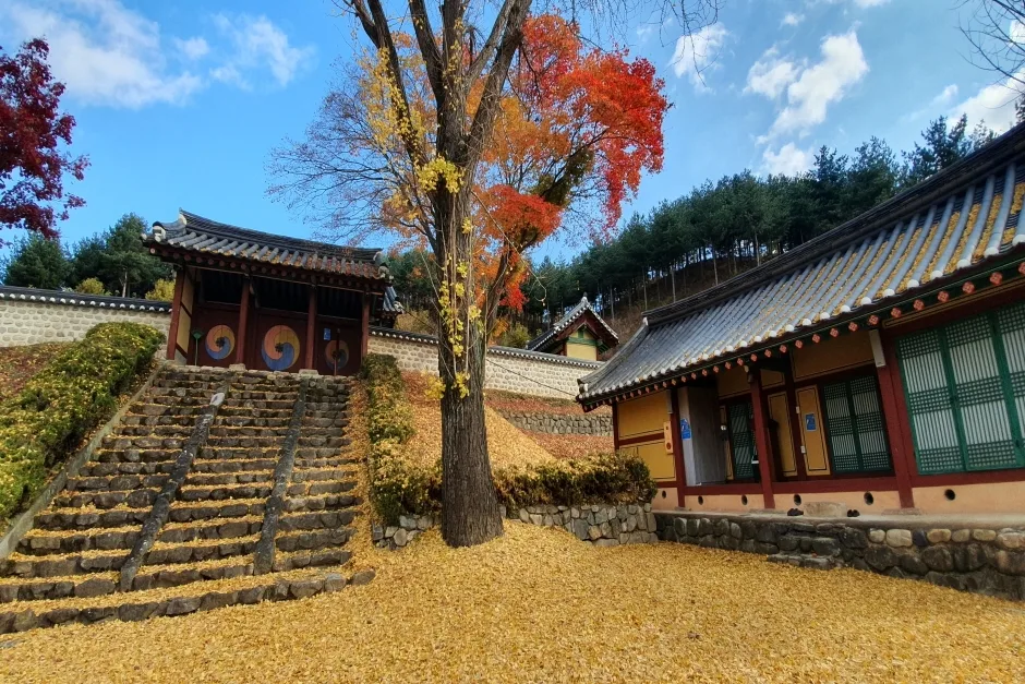 관광두레 주민사업체 충북 음성 잼토리 7