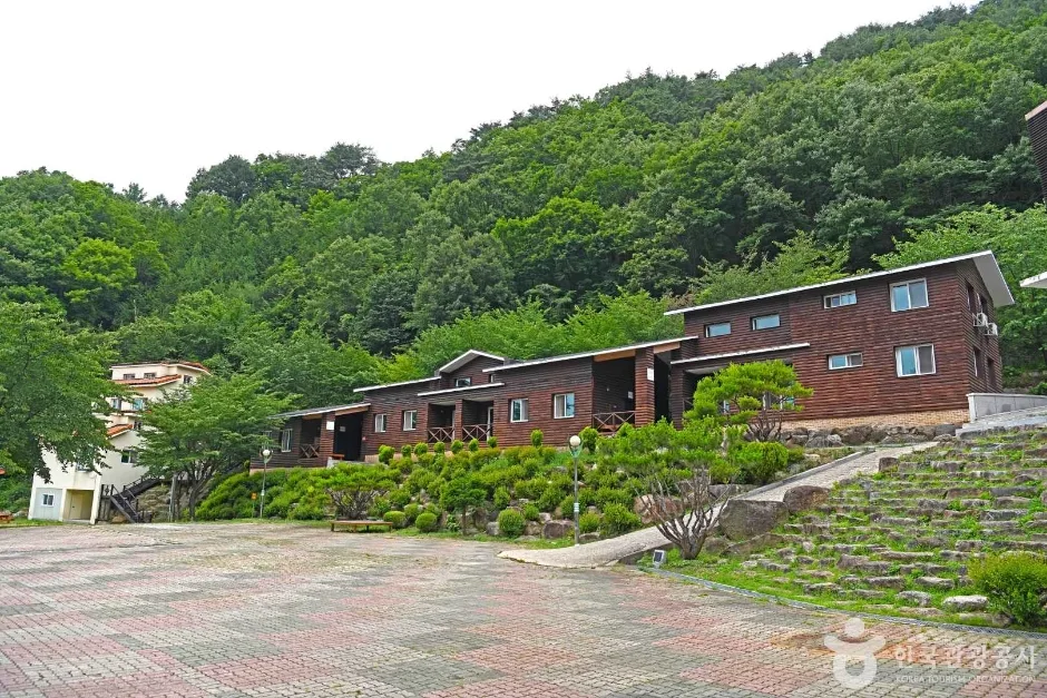 민주지산 자연휴양림