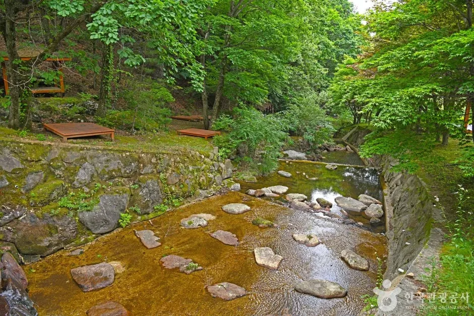 민주지산 자연휴양림 (5)