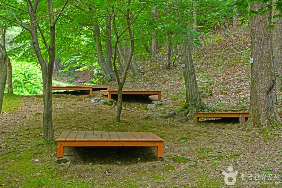 민주지산 자연휴양림 (6)