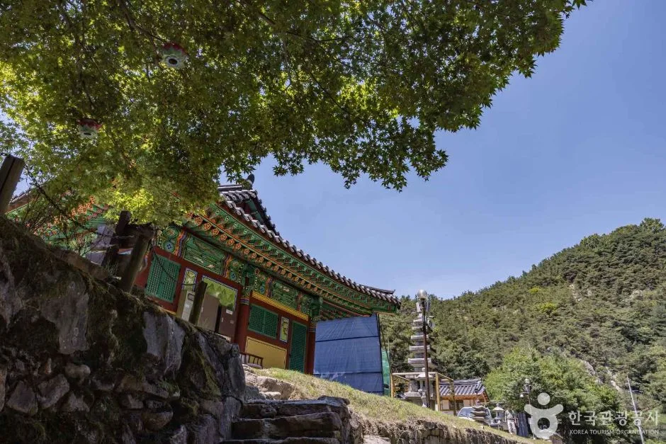 동화사(충북) (5)