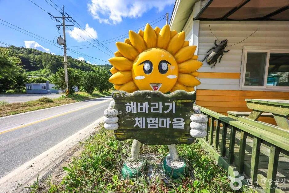경기_여주_여주 해바라기마을 (2)