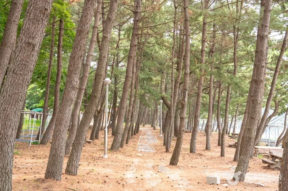 고흥_익금해수욕장 (3)