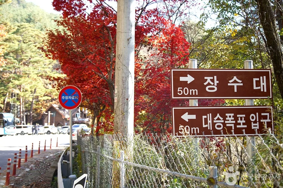  장수대 (17)