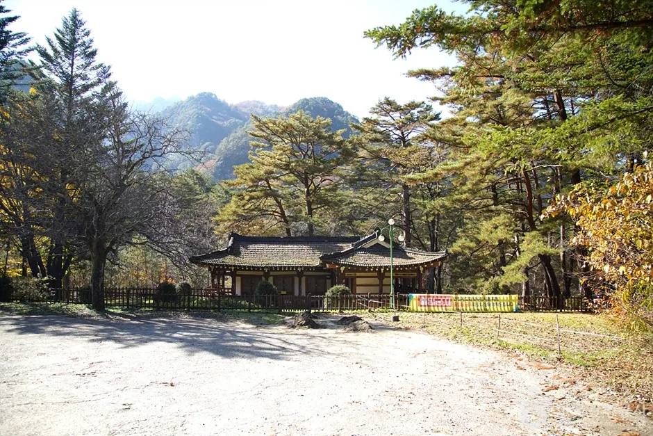  장수대 (14)