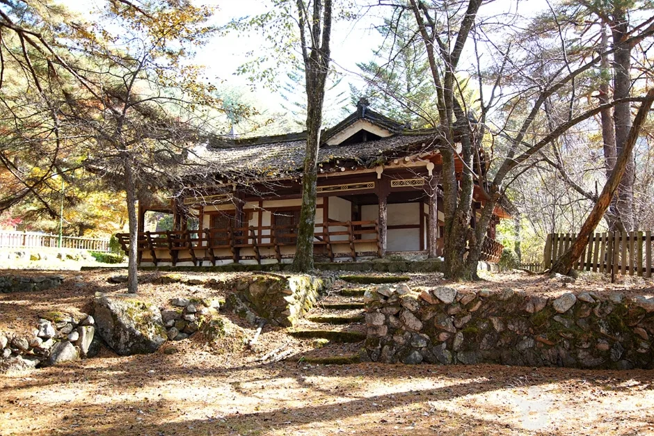  장수대 (7)