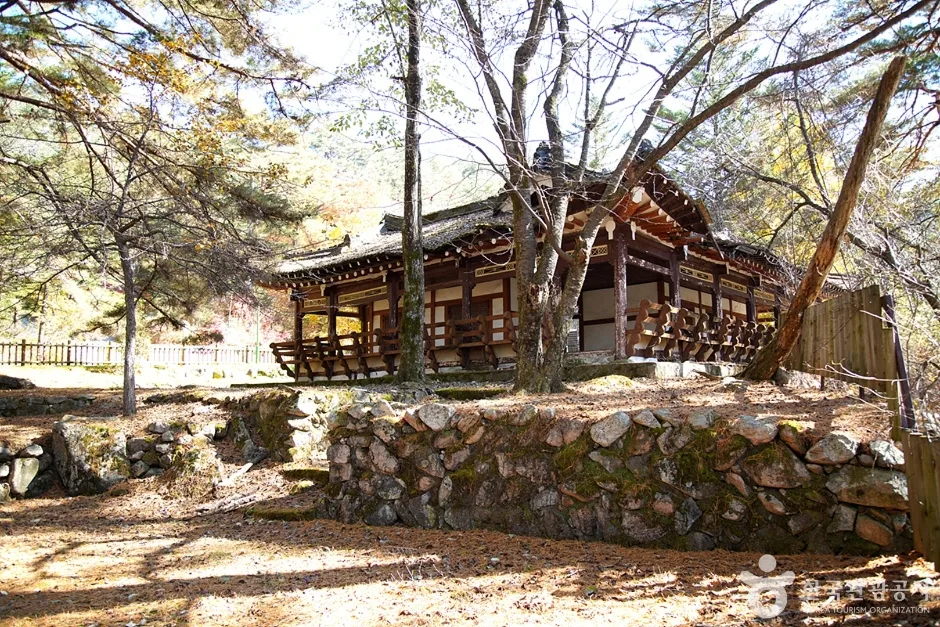  장수대 (9)