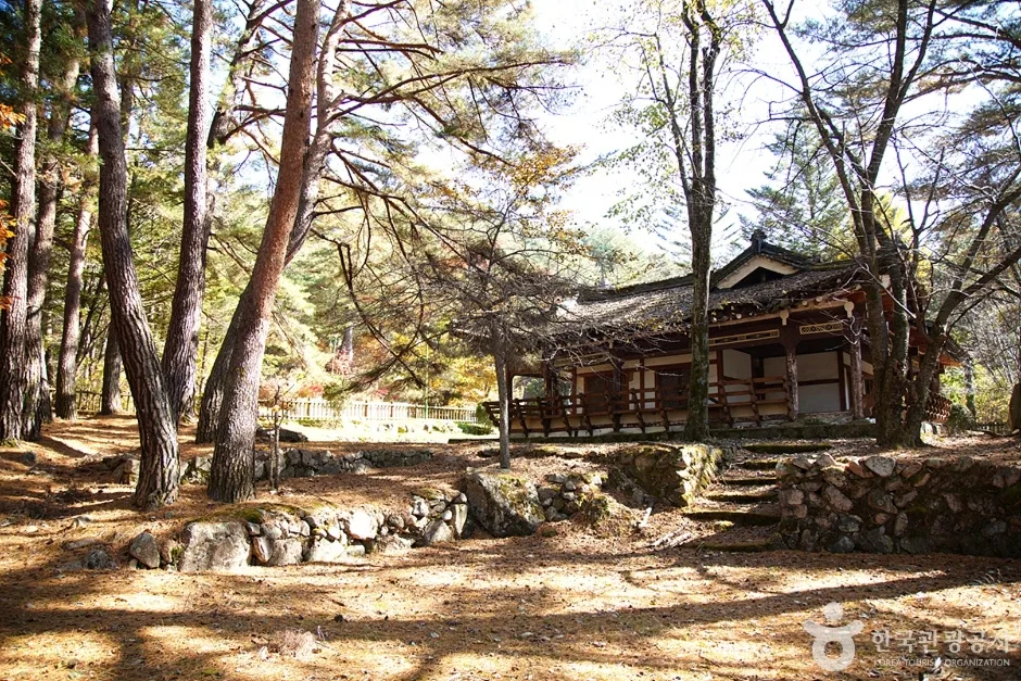  장수대 (8)