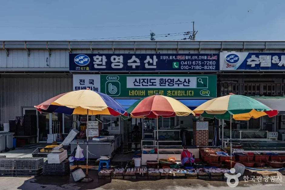 신진항 (6)