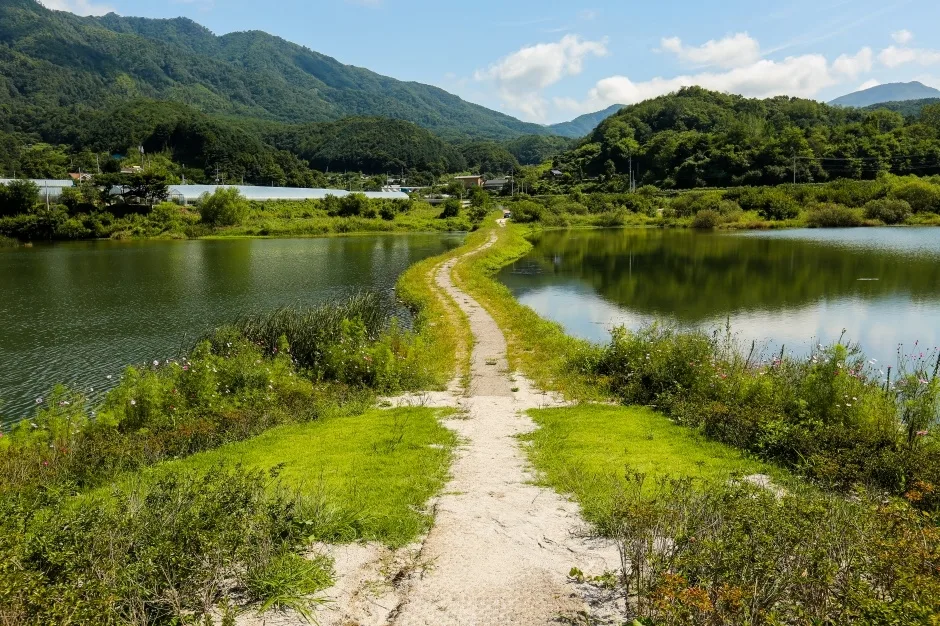 파로호 하트섬_6